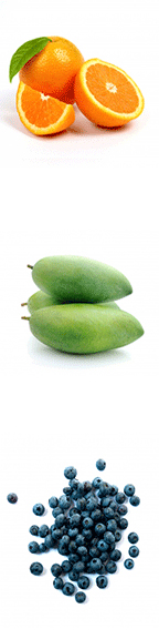 Health Coach Beth Ritter Nydick Wants You to Be Healthy FruitBanner 3 Health Coach Beth Ritter Nydick Wants You to Be Healthy